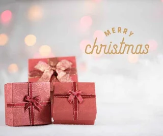 Image of Merry Christmas Gift Ideas For the Creative