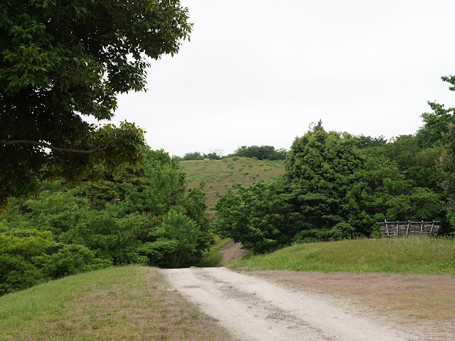 鳥取県西伯郡大山町妻木 鳥取県立むきばんだ史跡公園　環濠からの眺め