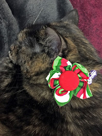 Paisley sleeping wearing her Christmas flower