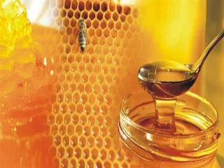 عسل النحل يعالج التهاب الحلق واللوز للأطفال بدلا من المضاد الحيوي