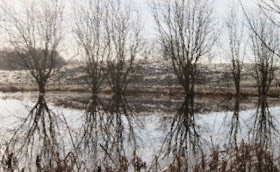 Pond in Winter - Marion Malcher