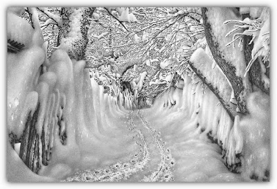 Beautiful winter drawings