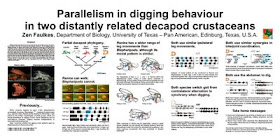 Faulkes 2002 SICB poster