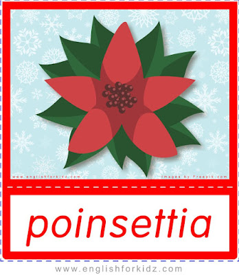 Poinsettia, free Christmas flashcards