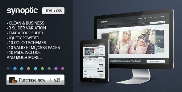 Synoptic Premium HTML & CSS3 Template - ThemeForest Item for Sale