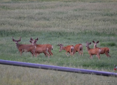 DSC_0190