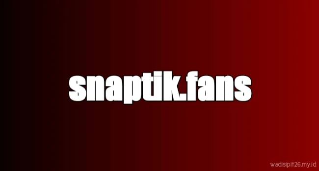 Snaptik.fans auto tiktok followers