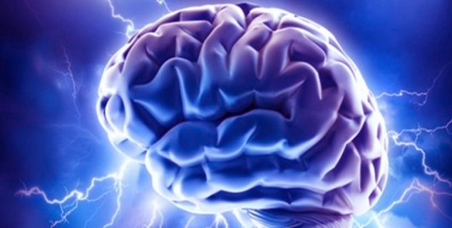 Νευροεπιστήμονες αναζητούν την αιτία δημιουργίας του ανθρώπινου εγκεφάλου
