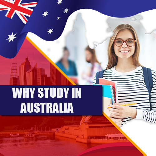 study in Australia consultan