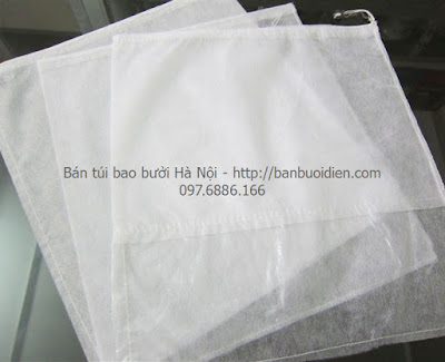 Túi bao bọc trái bưởi tại Hà Nội