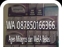 ✓ WA 087850166366 Agen Milagros dan MeRA Bekasi