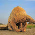 Pangolin: जंगलों का कवचधारी और दुर्लभ जीव