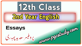 2nd year english important essays for all Punjab boards