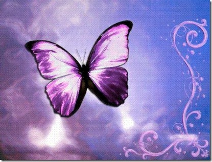 borboleta b