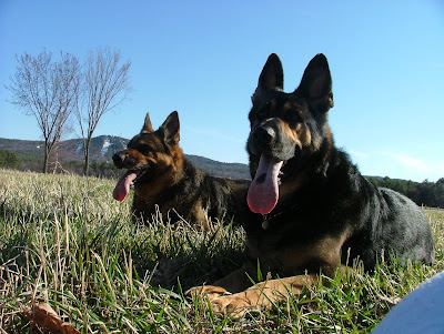 Nikki and Corey