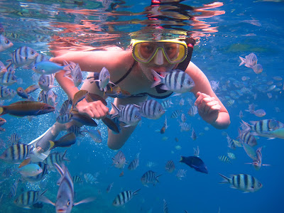 http://www.lomboksociety.web.id/2015/05/snorkeling-3-gili-gili-terawangan-gili.html