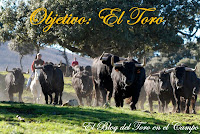 Objetivo: El Toro