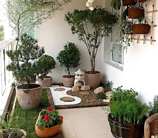 Putting Plant Pots on the Wall