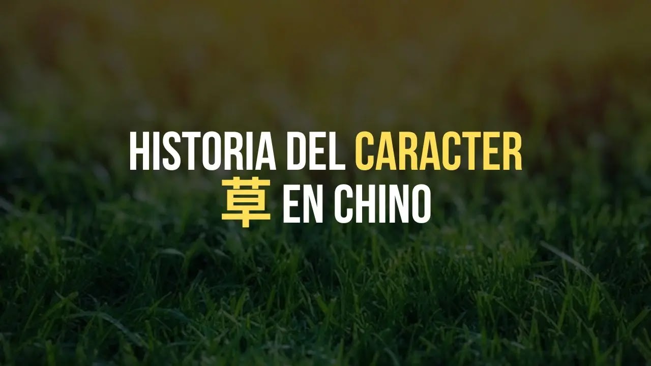 La historia detrás del caracter 草 (Cǎo)