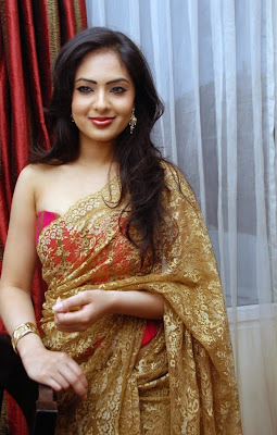 Nikisha Patel Hot Transparent Saree Photos