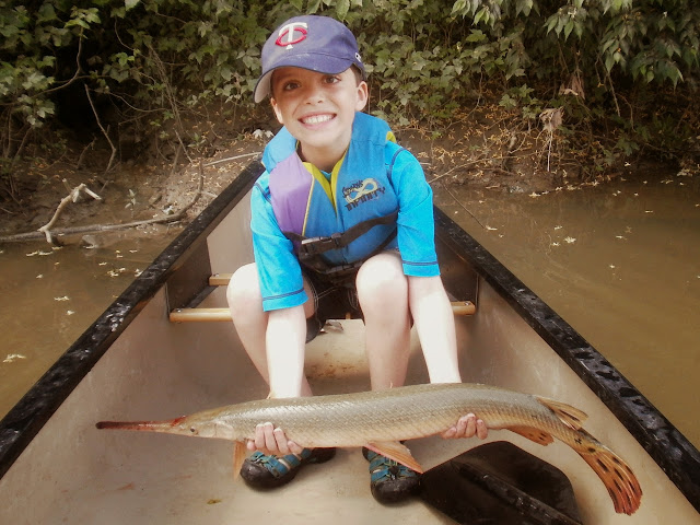 A longnose gar is a prehistoric looking fish.  This one was caught in the Little Miami River near the Ohio.