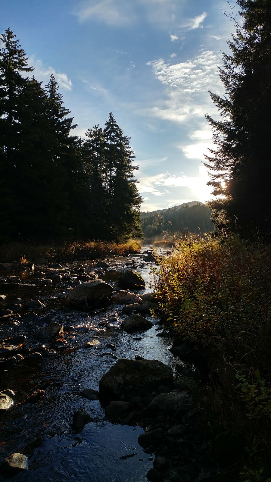 Morning View from Colvin Brook Lean-to