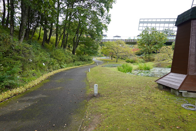 鳥取県西伯郡南部町鶴田　とっとり花回廊　花の谷