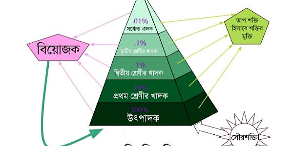 লিন্ডেম্যান এর দশ শতাংশ সূত্রটি লেখ | the ten percent law of lindemann