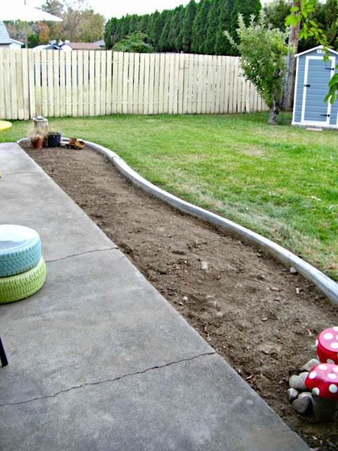 How to Add Interest to a Boring Backyard