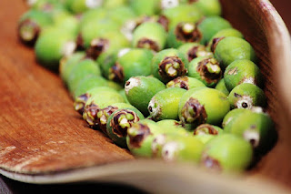 bakal buah kelapa (kelapa kecil)