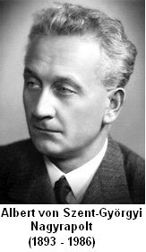 albert szent-gyorgyi