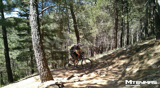 RUTA DE EL ESCORIAL AL PICO ABANTOS