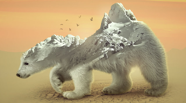 Polar Bear Photo Manipulation in Photoshop