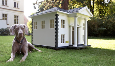 Amazing houses for dogs