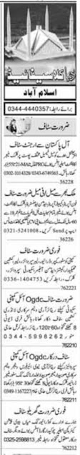 Private Company Job Advertisement 7 June 2022