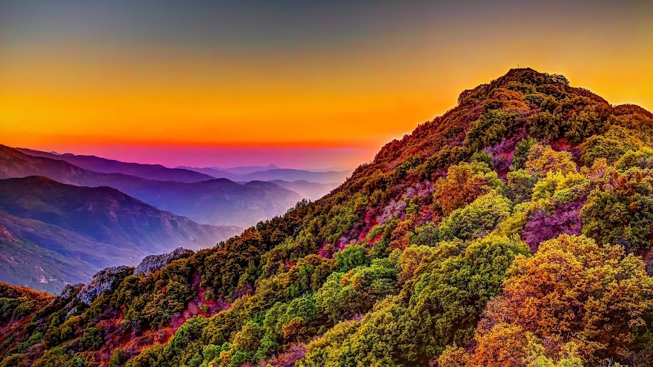 Mountain Colorful Forest Nature Sunset Scenery 4k Wallpaper 161