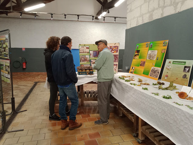 Bio-champi at a fungi exhibition, Indre et Loire, France. Photo by Loire Valley Time Travel.