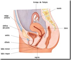 clip_image003
