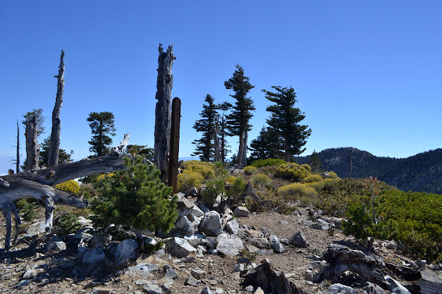 top of Bighorn Peak