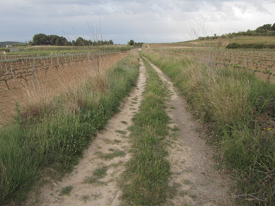 VILAFRANCA DEL PENEDÈS AL REIAL MONESTIR DE SANTA MARIA DE SANTES CREUS PERE EL GRAN - Seguint la ruta del seu enterrament pel Camí Ral, Camí Ral a la La Bisbal del Penedès