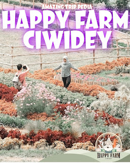 Foto Instagram Happy Farm Ciwidey Bandung Jawa Barat