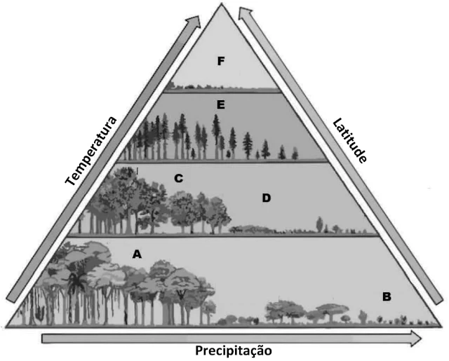 Modificado de James F. Petersen, Dorothy Sack e Robert E. Glabler,  Fundamentos de Geografia Física. São Paulo: Cengage, 2015.