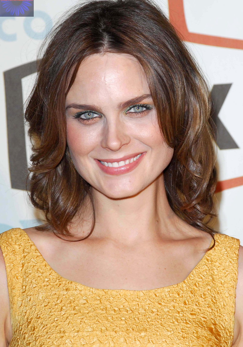 Emily Deschanel Hairstyles 1