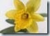 clip_image014