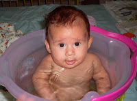 3 meses
