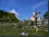 DSCN8516
