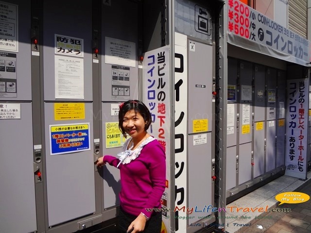 japan airport limousine