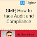How to face Audit Pharmaceutical Regulation