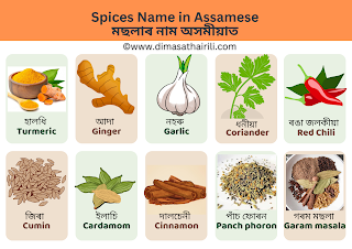 spices name in assamese মছলাৰ নাম