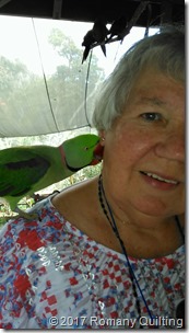 Parrot on Jenny